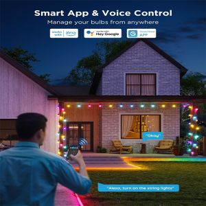 Govee Smart Outdoor String Lights