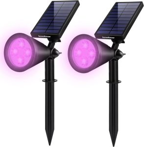 Inno Gear solar light