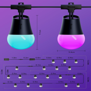 Govee Smart Outdoor String Lights