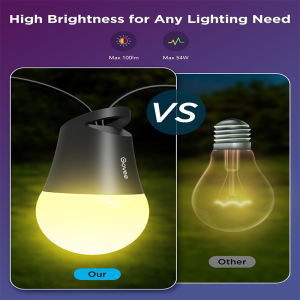 Govee Smart Outdoor String Lights